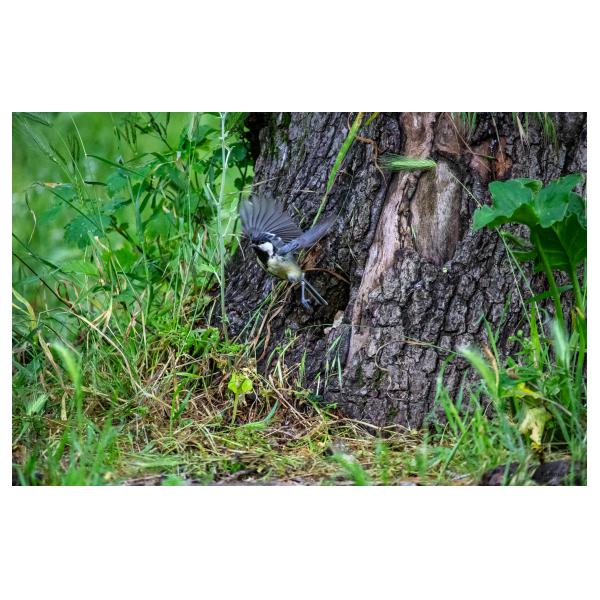 PHOTO84, CLUB, 84 , LUBERON